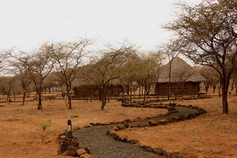 Safari Tents